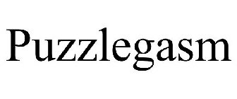 PUZZLEGASM