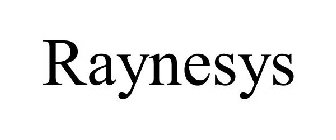 RAYNESYS