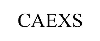 CAEXS