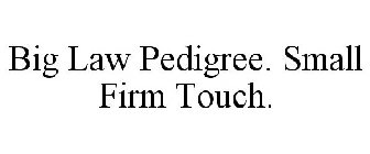 BIG LAW PEDIGREE. SMALL FIRM TOUCH.