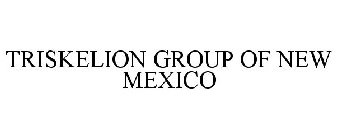 TRISKELION GROUP OF NEW MEXICO
