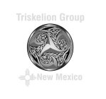 TRISKELION GROUP OF NEW MEXICO