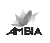 AMBIA