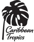 CARIBBEAN TROPICS