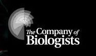 THE COMPANY OF BIOLOGISTS