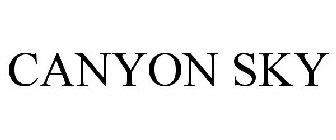 Image for trademark with serial number 88579920