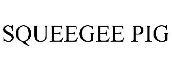 SQUEEGEE PIG
