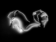 Image for trademark with serial number 88587899