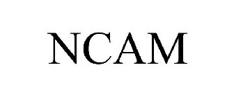 NCAM