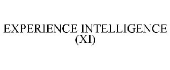 EXPERIENCE INTELLIGENCE (XI)