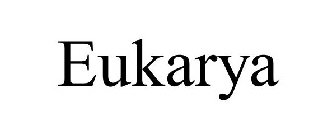 EUKARYA