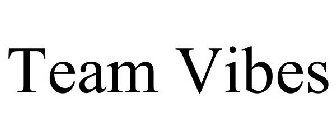 TEAM VIBES