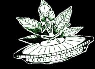 STONER SHIT