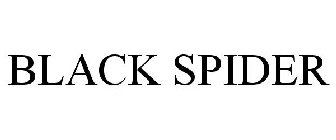 BLACK SPIDER