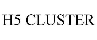 H5 CLUSTER