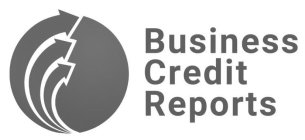 BUSINESS CREDIT REPORTS