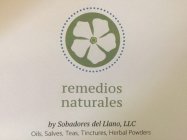 REMEDIOS NATURALES BY SOBADORES DEL LLANO, LLC OILS, SALVES, TEAS, TINCTURES, HERBAL POWDERS