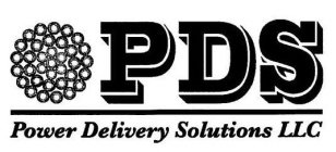 PDS POWER DELIVERY SOLUTIONS LLC