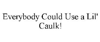 EVERYBODY CAN USE A LIL' CAULK!