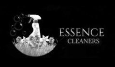 ESSENCE CLEANERS