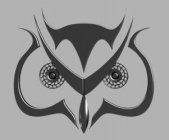 OWL ARMAMENT LLC