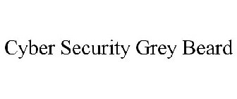 CYBER SECURITY GREY BEARD