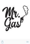 MR.GAS