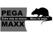 PEGA MAXX ENTRE MAS SE MUEVE...MAXX SE PEGA.