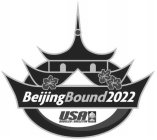 BEIJING BOUND 2022 USA BOBSLED SKELETON