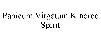 PANICUM VIRGATUM KINDRED SPIRIT