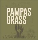 PAMPAS GRASS