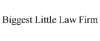BIGGEST LITTLE LAW FIRM