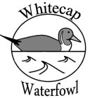 WHITECAP WATERFOWL