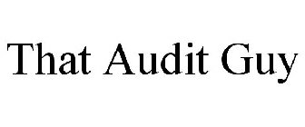 THAT AUDIT GUY