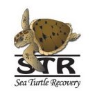 STR SEA TURTLE RECOVERY