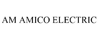 AM AMICO ELECTRIC