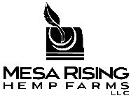 MESA RISING HEMP FARMS LLC