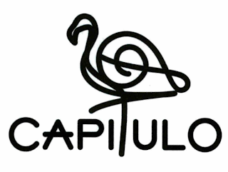 CAPITULO