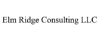 ELM RIDGE CONSULTING LLC
