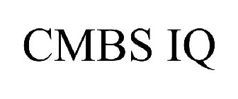 CMBS IQ