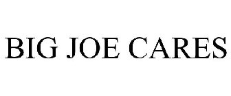 BIG JOE CARES