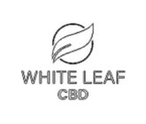 WHITE LEAF CBD