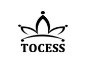 TOCESS
