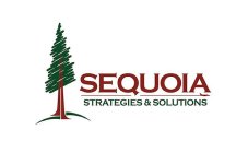 SEQUOIA STRATEGIES & SOLUTIONS
