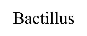 BACTILLUS