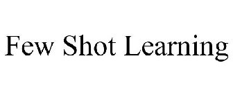 FEW SHOT LEARNING