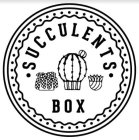 SUCCULENTS BOX