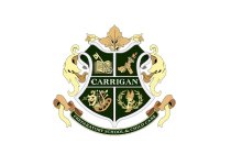 CARRIGAN PREPARATORY SCHOOL & CHILD CARE