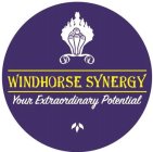 WINDHORSE SYNERGY YOUR EXTRAORDINARY POTENTIAL
