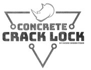 CONCRETE CRACK LOCK BY RHINO CARBON FIBER